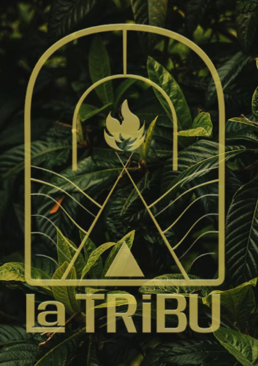 Logo La Tribu sur fond végétal